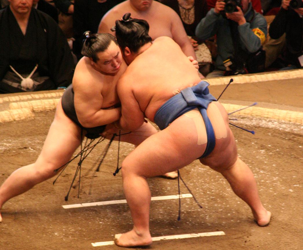 sumo wrestlers