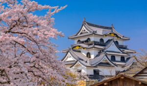 Hikone castle Picture