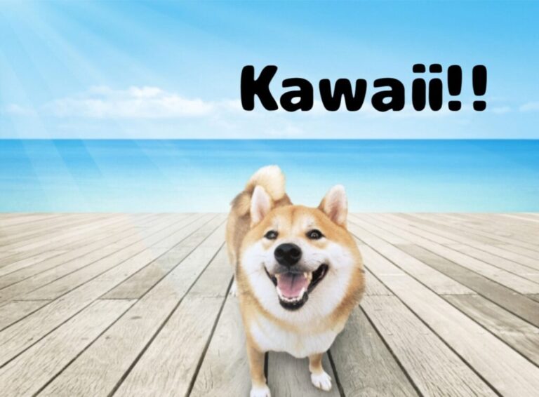 meanings of Kawaii shiba dog
