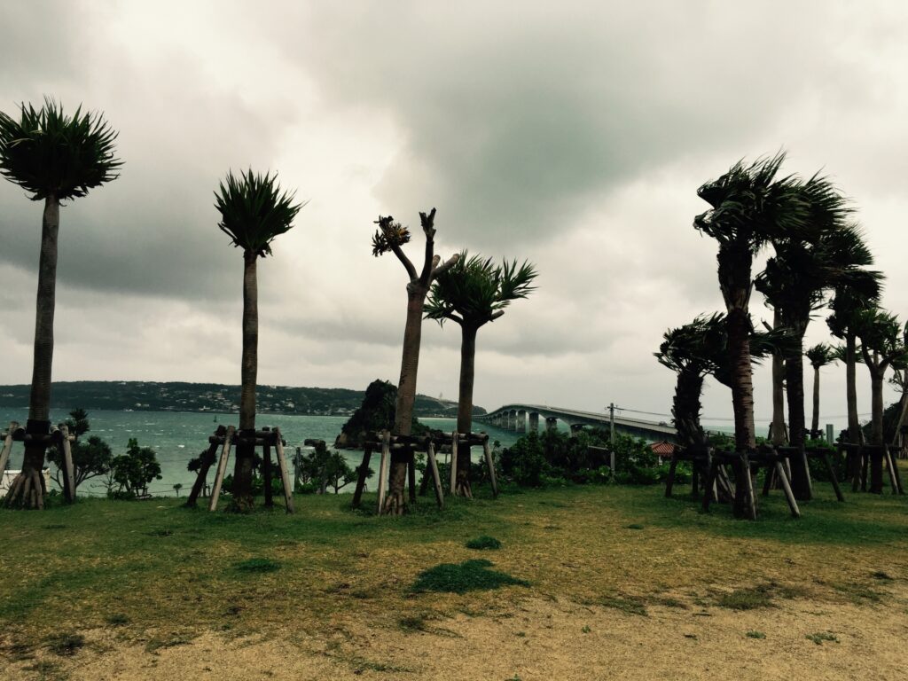 Okinawa view typhoon