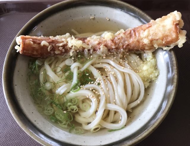 Udon marugame seimen