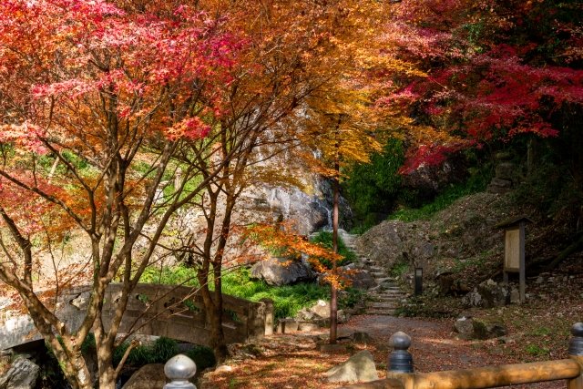 Japan's Four Seasons autumn