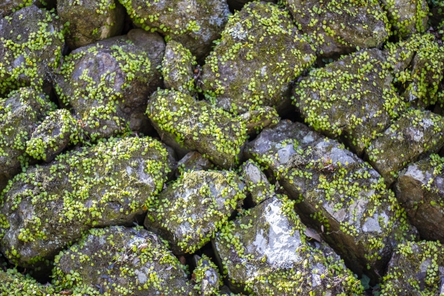 wabisabi japanese old garden stones