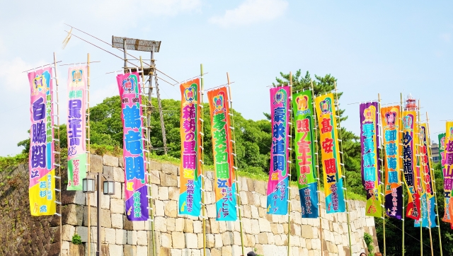 sports in japan sumo